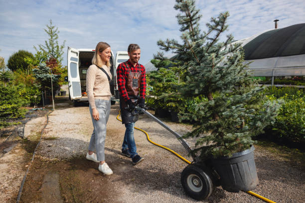 Best Tree Pruning Services  in Clinton, UT